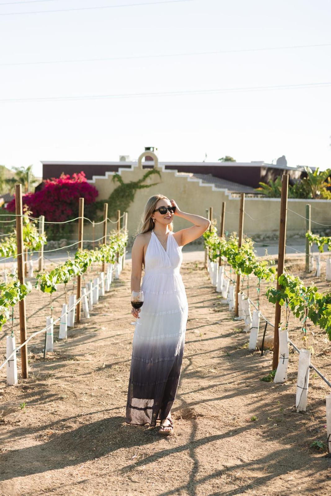 Sol Del Valle Valle de Guadalupe Luaran gambar